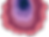 Asset 2_2x_edited.png