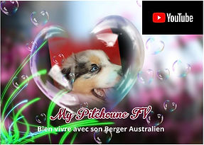 Logo My Pitchoune Tv You Tube.JPG