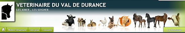 Capture_clinique_vétérinaire_val_de_dura