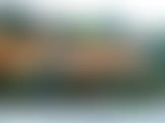 Where The Creatures Meet: My Laurel Canyon Daydream