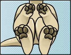 finger_paw_pads.gif