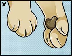 retractable_claws.gif