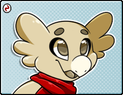 accesories_2.gif