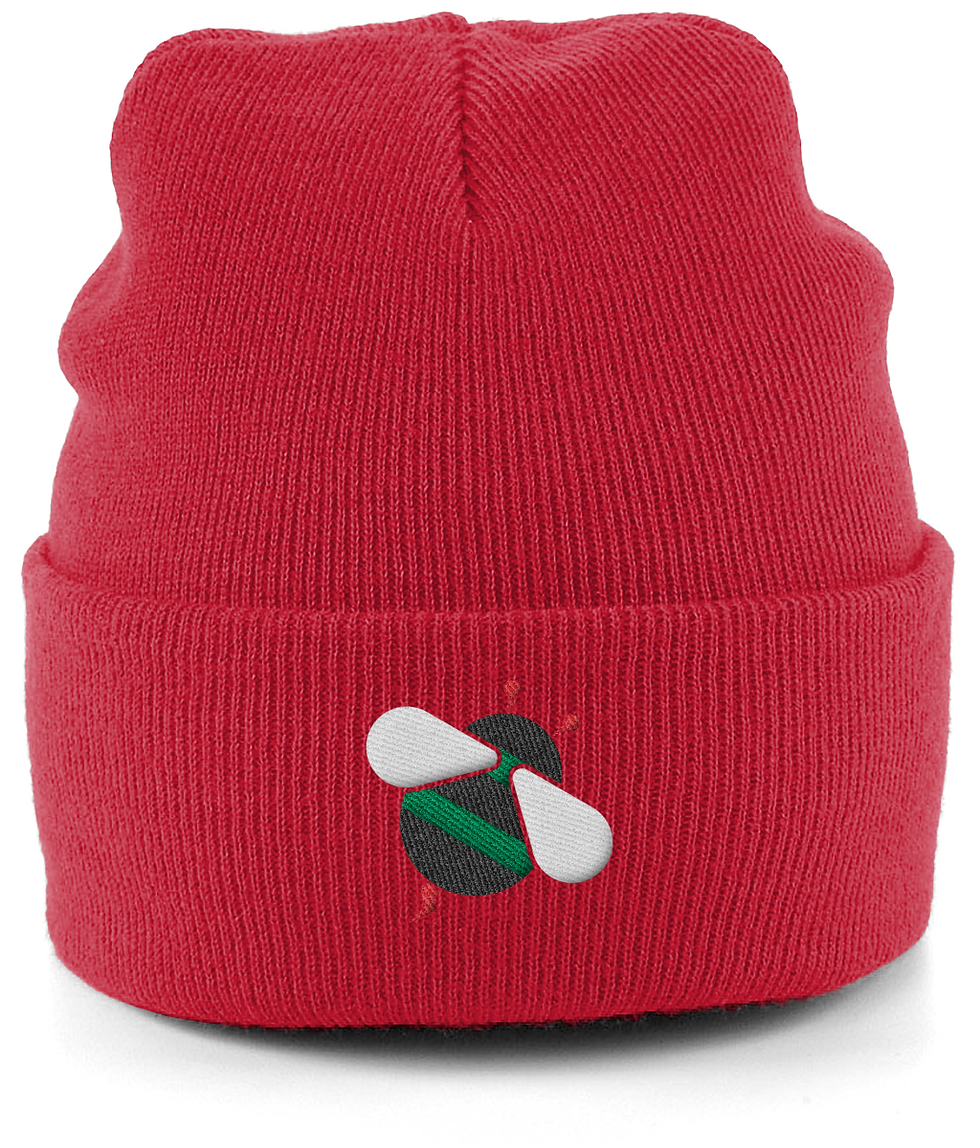 Thumbnail: Kids Bee Beanie