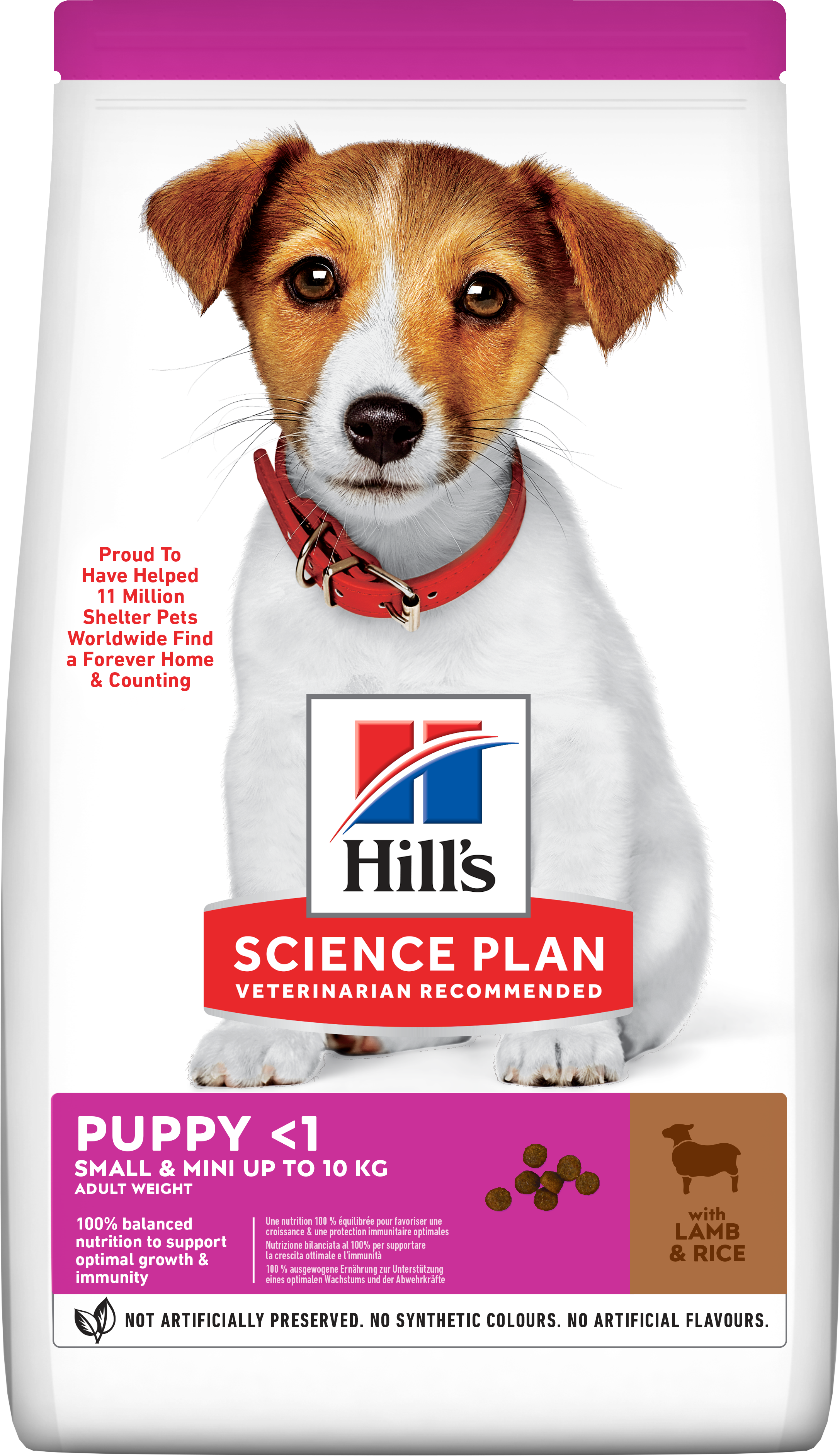 Hill's Science Plan Puppy Small & Mini Dry Dog Food Lamb Flavour