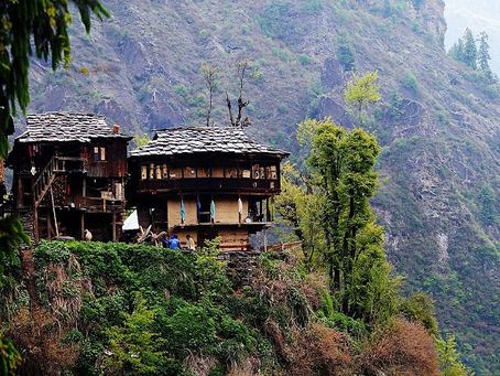 CHECKOUT THIS CANNABIS MOUNTAIN IN INDIA