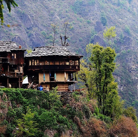 CHECKOUT THIS CANNABIS MOUNTAIN IN INDIA