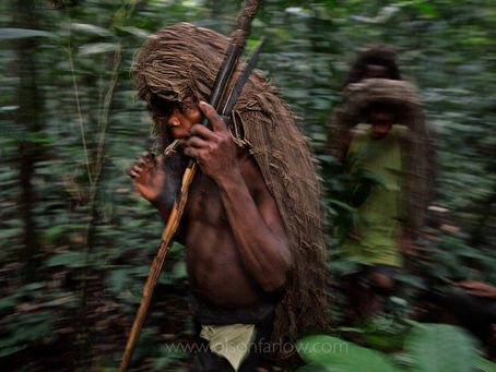Pygmies Selling Weed in the Congo for Riches
