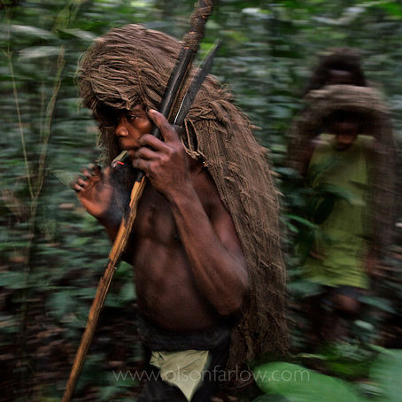 Pygmies Selling Weed in the Congo for Riches