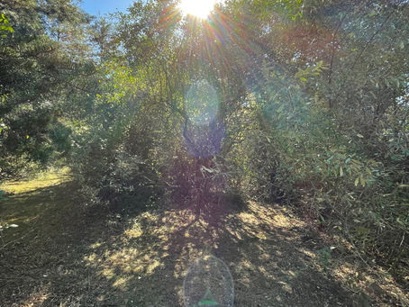 We all are shining brightly like the Sun.