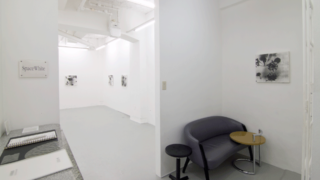 Solo Exhibition,2011
