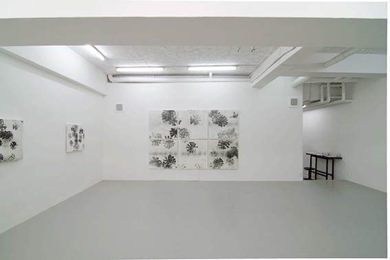Solo Exhibition,2012