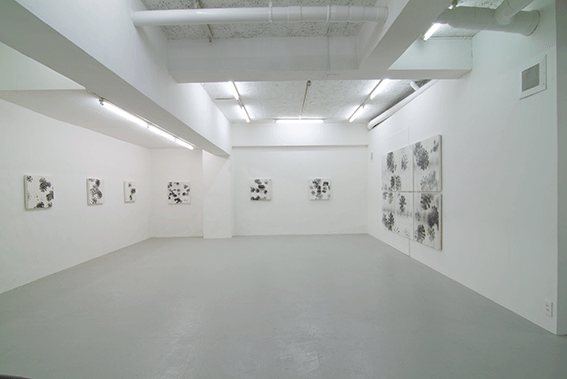 Solo Exhibition,2012