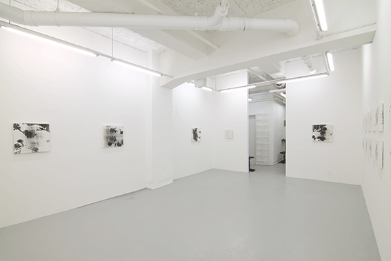 Solo Exhibition,2011