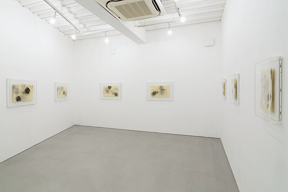 Solo Exhibition,2015