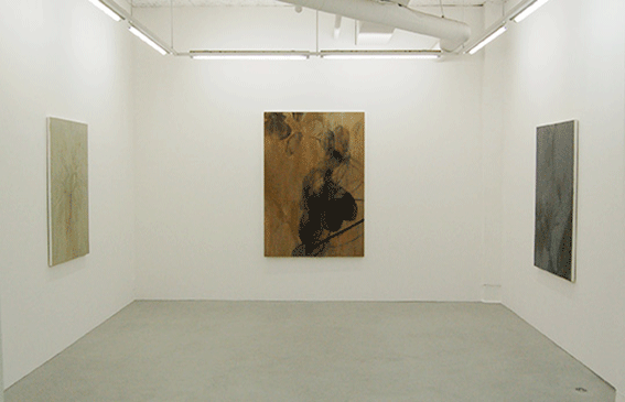 Solo Exhibition,2006