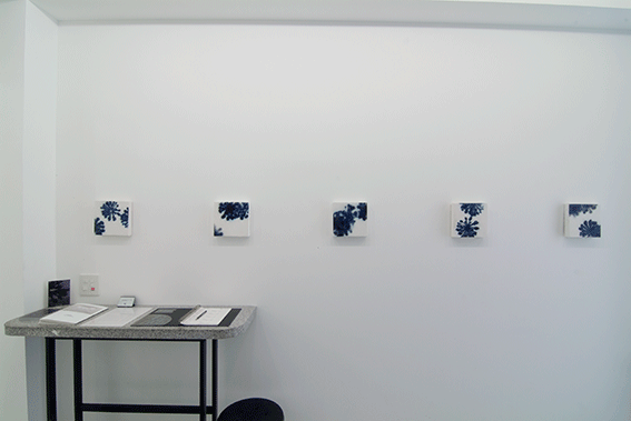 Solo Exhibition,2013