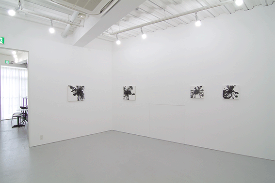 Solo Exhibition,2013