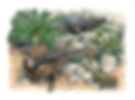 Figure 9.jpeg