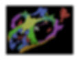 Colobops for website_edited_edited.png