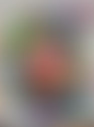 Praktisch. Professionell. Klimafreundlich. Das ist Pely