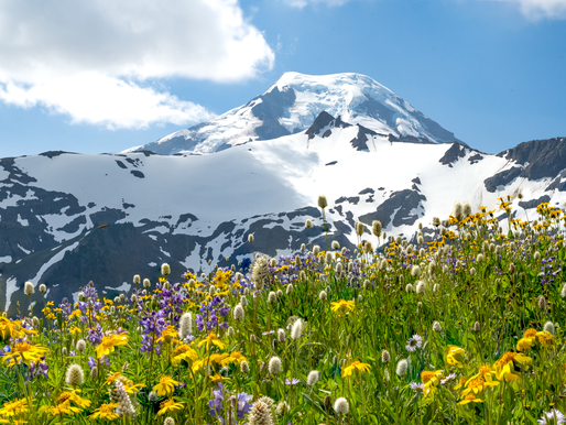 Mt. Baker