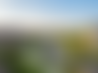 Living in Waterleigh Winter Garden FL Homes Schools Streets Neighborhood Guide