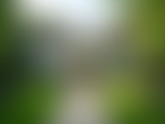 Discover Why Atlanta is the Rising Star of Luxury Real Estate in 2025