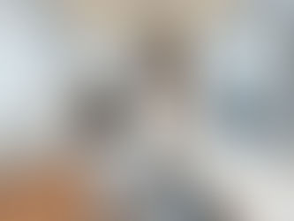 Maximizing Luxury ROI: Kitchen Renovations That Blend Technology and Style