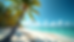 Eye-level view of a sunny Florida beach with palm trees and clear blue water