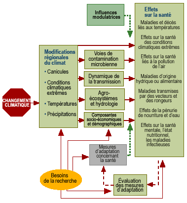 health_pathways_fr.gif