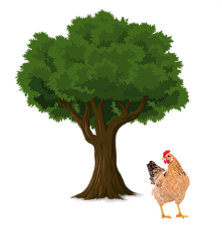 Sans titre (4).png