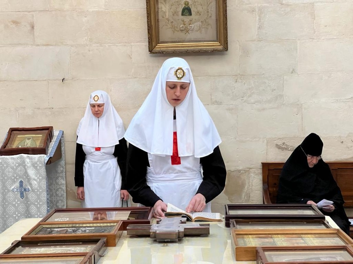 Историческому ИППО 141 год