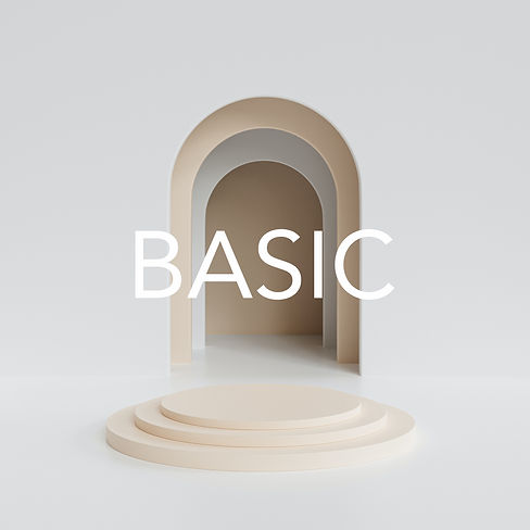 Basic.jpg