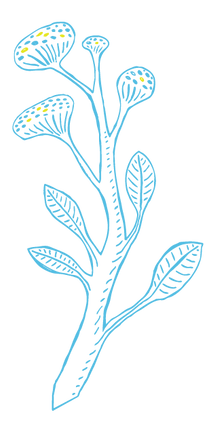 Illustration of tall sea weed