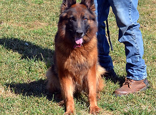 ruby DSC_0127.jpg