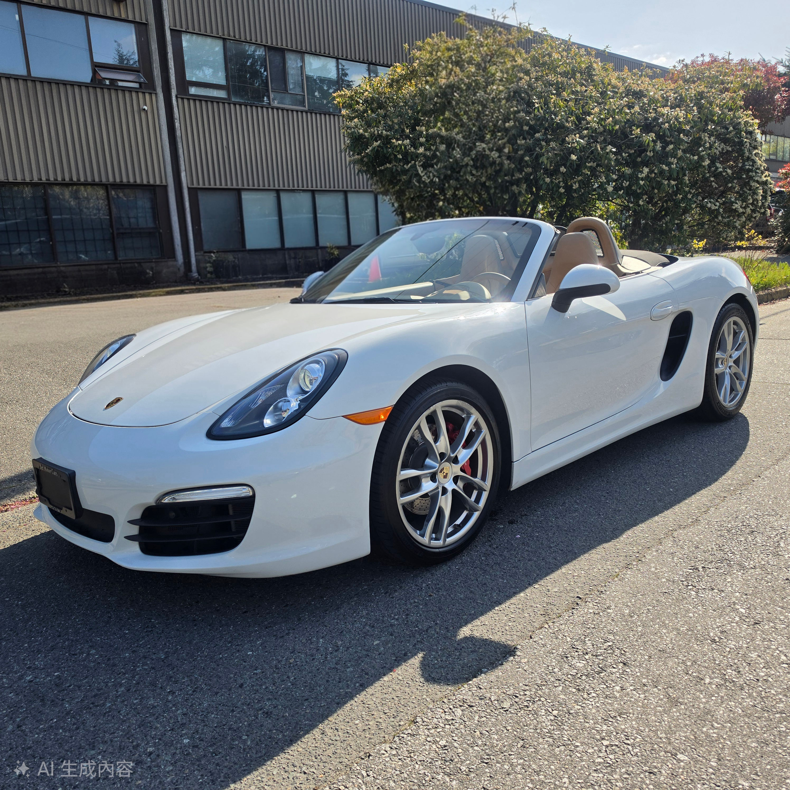 2013 Porsche Boxster S