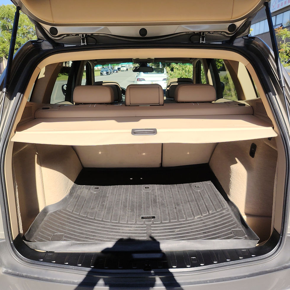 縮圖：2010 BMW X3 XDRIVE 30i