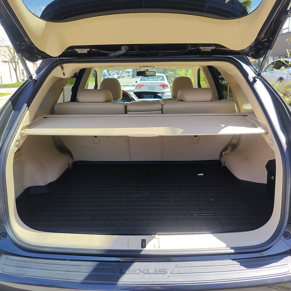 縮圖：2010 Lexus RX350/RX 350 Touring Package
