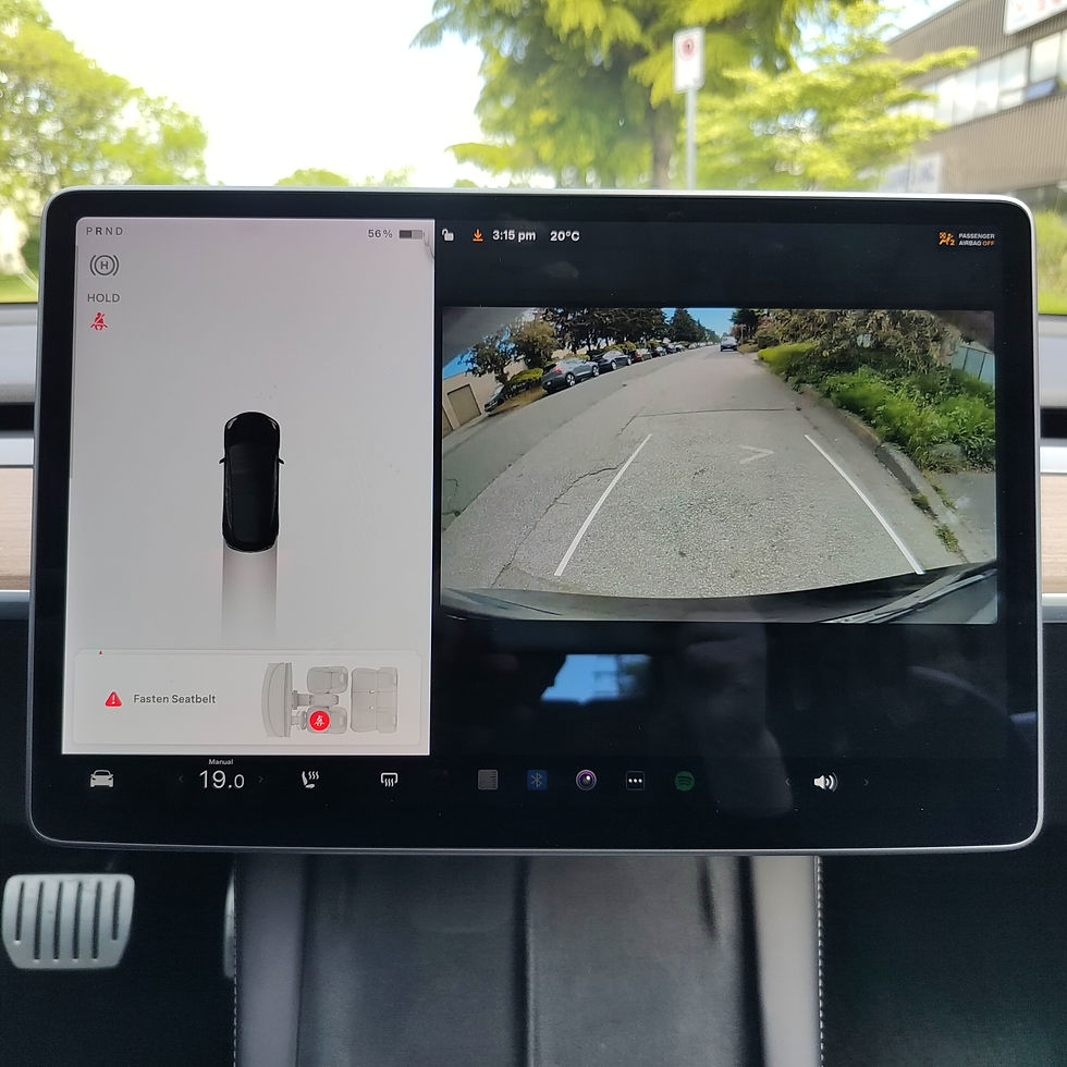 縮圖：2021 Tesla Model 3 Performance AWD