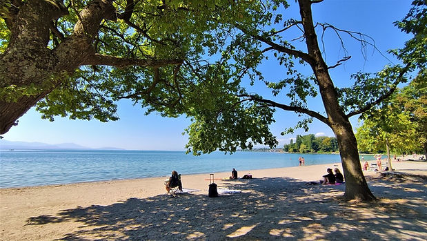 vidy-plage.jpg