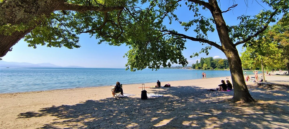 vidy-plage_edited.jpg