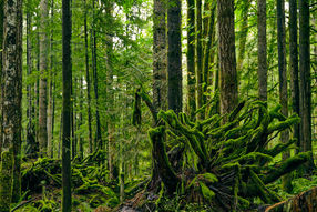 Vancouver Island 10_2021_0080.jpg