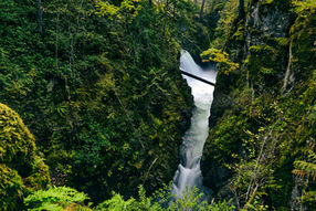 Vancouver Island 10_2021_1051.jpg