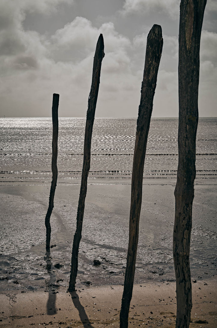 Oleron_094.jpg