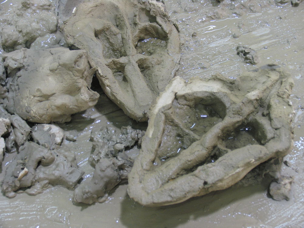 terra-cruda-detail.gif