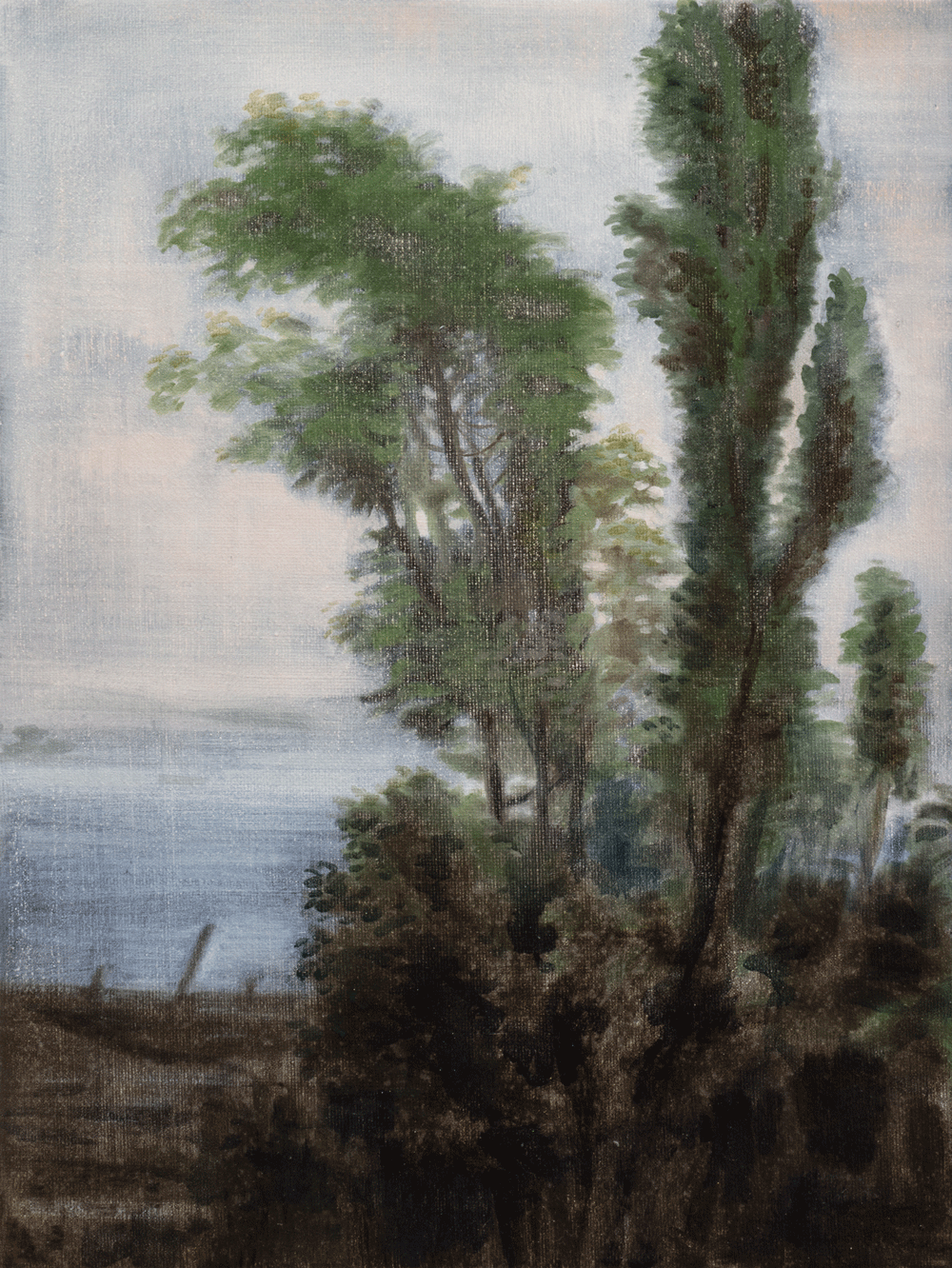boschereccia1.gif