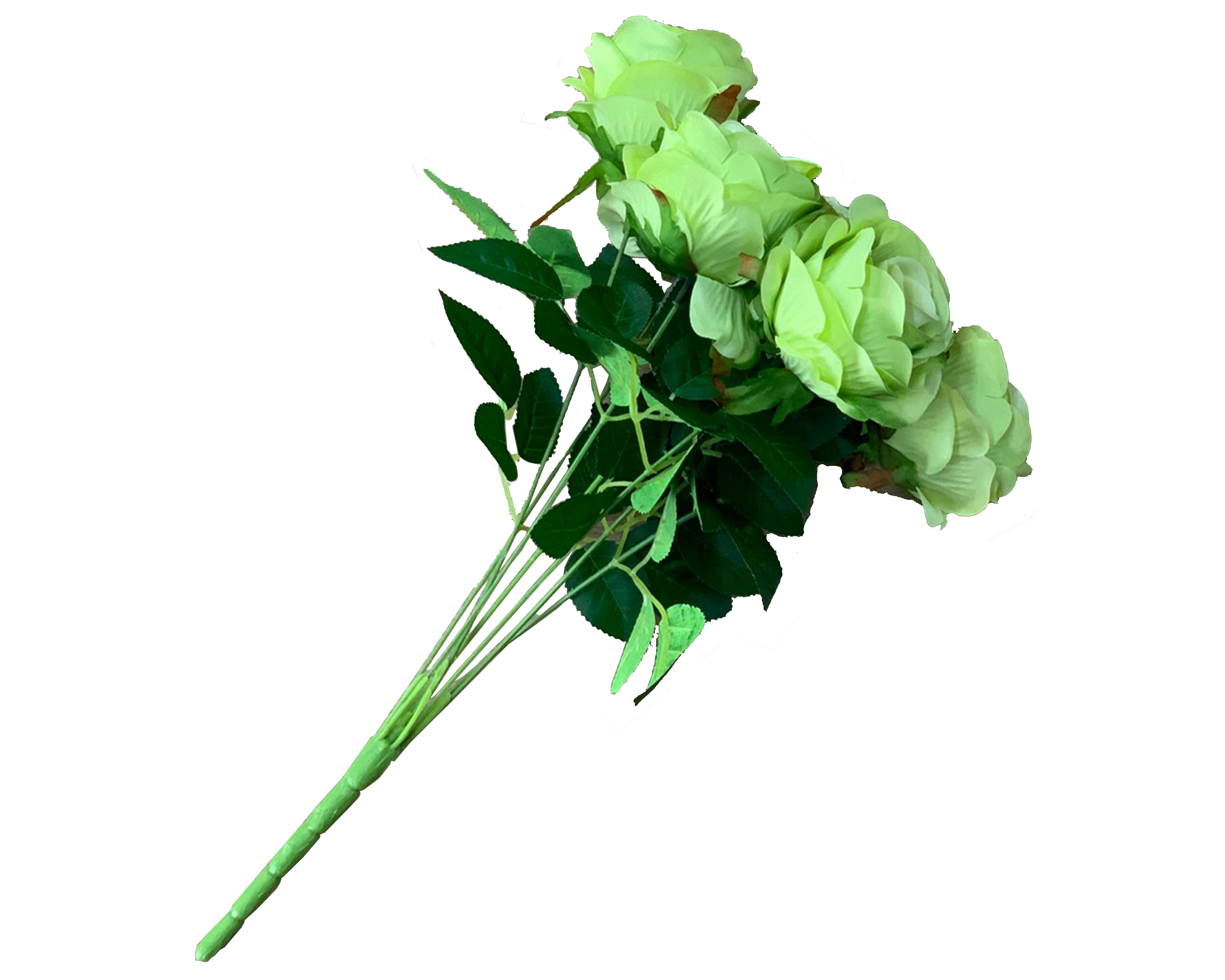 ดอกกุหลาบสีเขียว