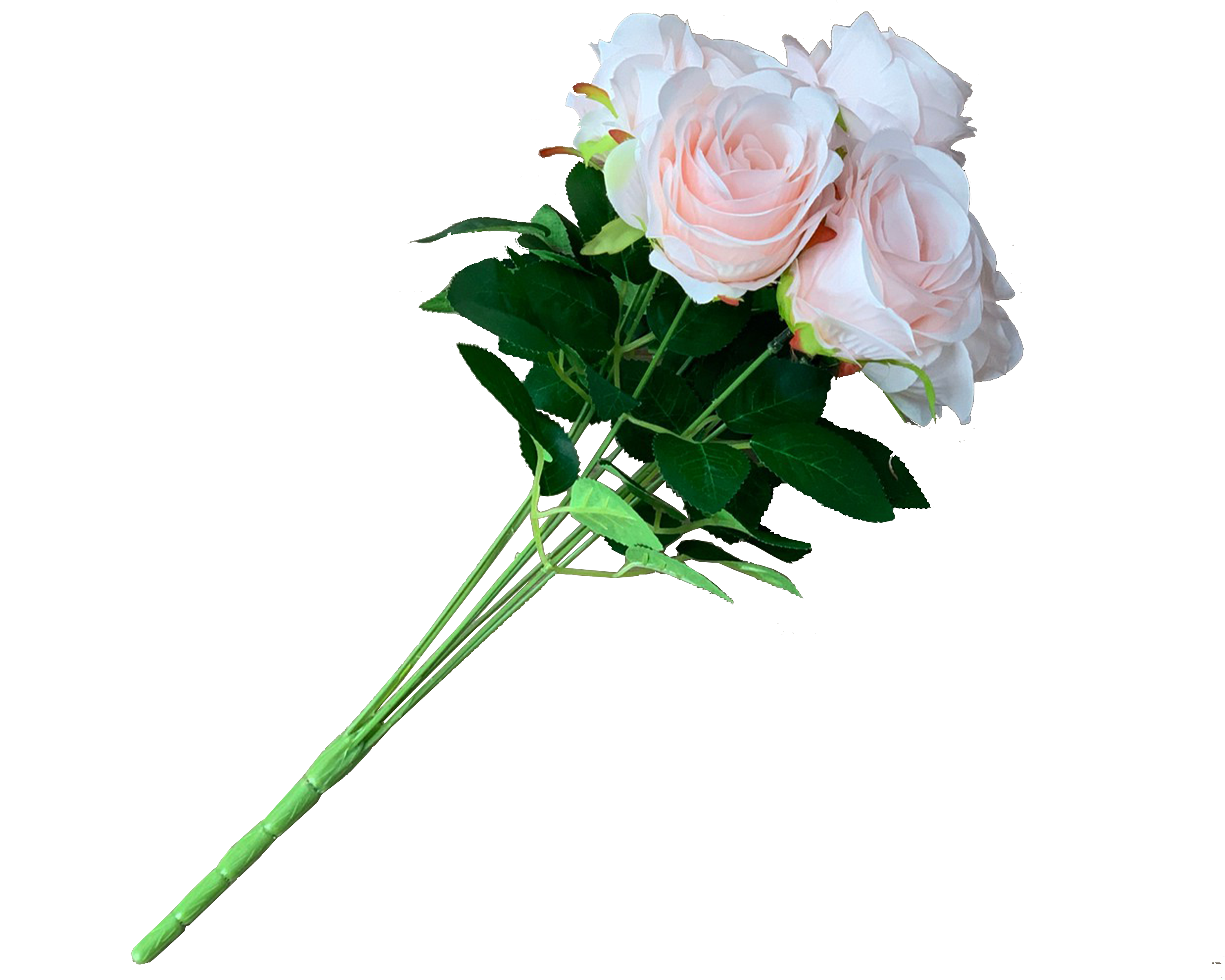 ดอกกุหลาบสีชมพูอ่อน