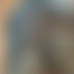 เปลี่ยนฝ้าให้ดู "หรูแบบโรงแรม" ด้วย Faux Stainless ผิวลายน้ำ สี Silver